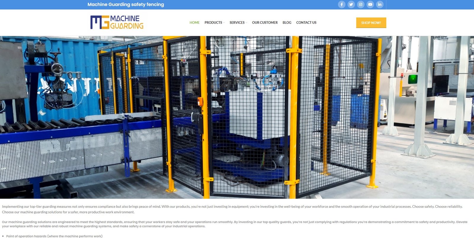 Home | Machine Guarding | Machinery Safety Fence | Conveyor